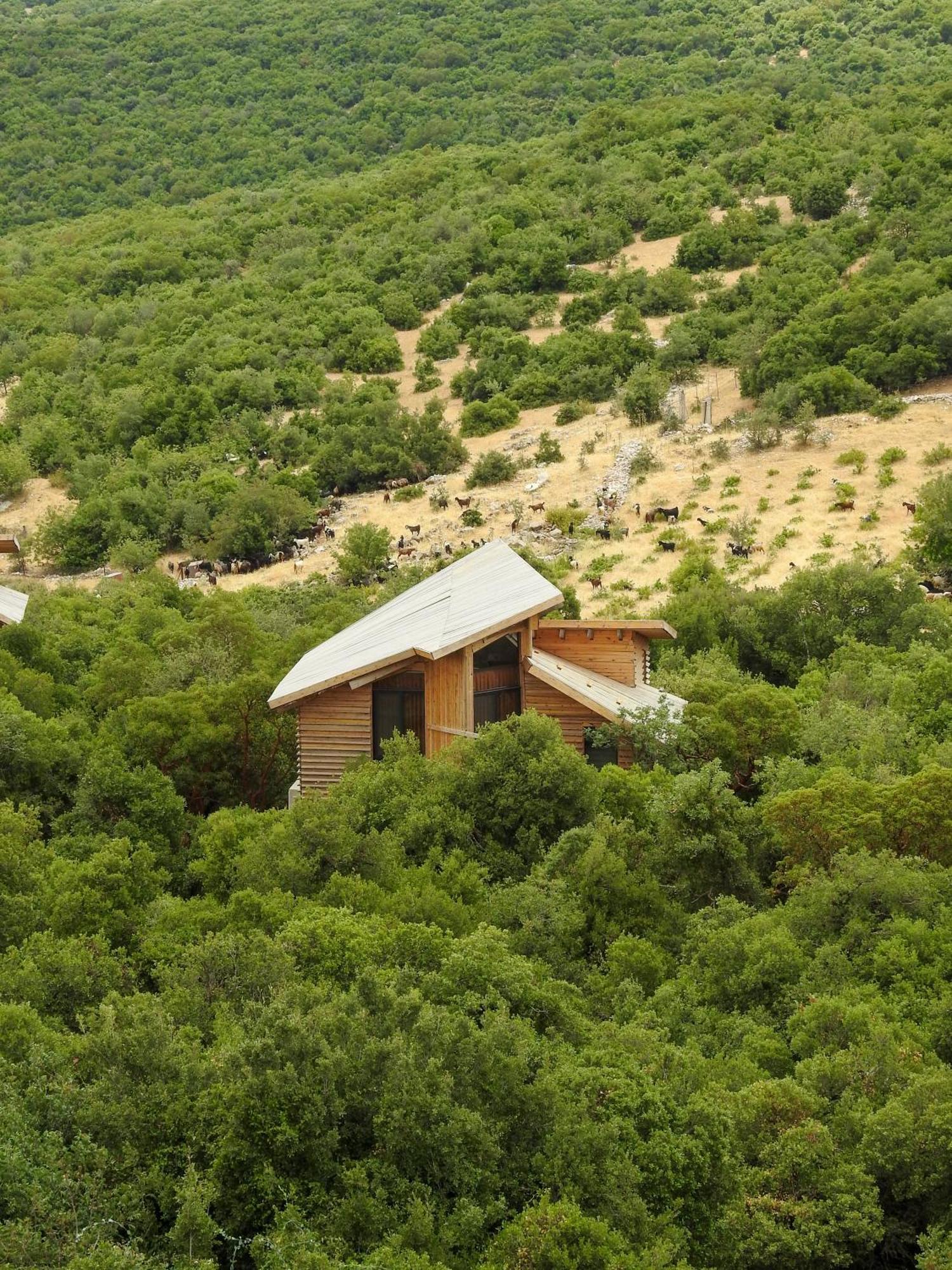 Ajloun Forest Reserve Jarash Exterior photo
