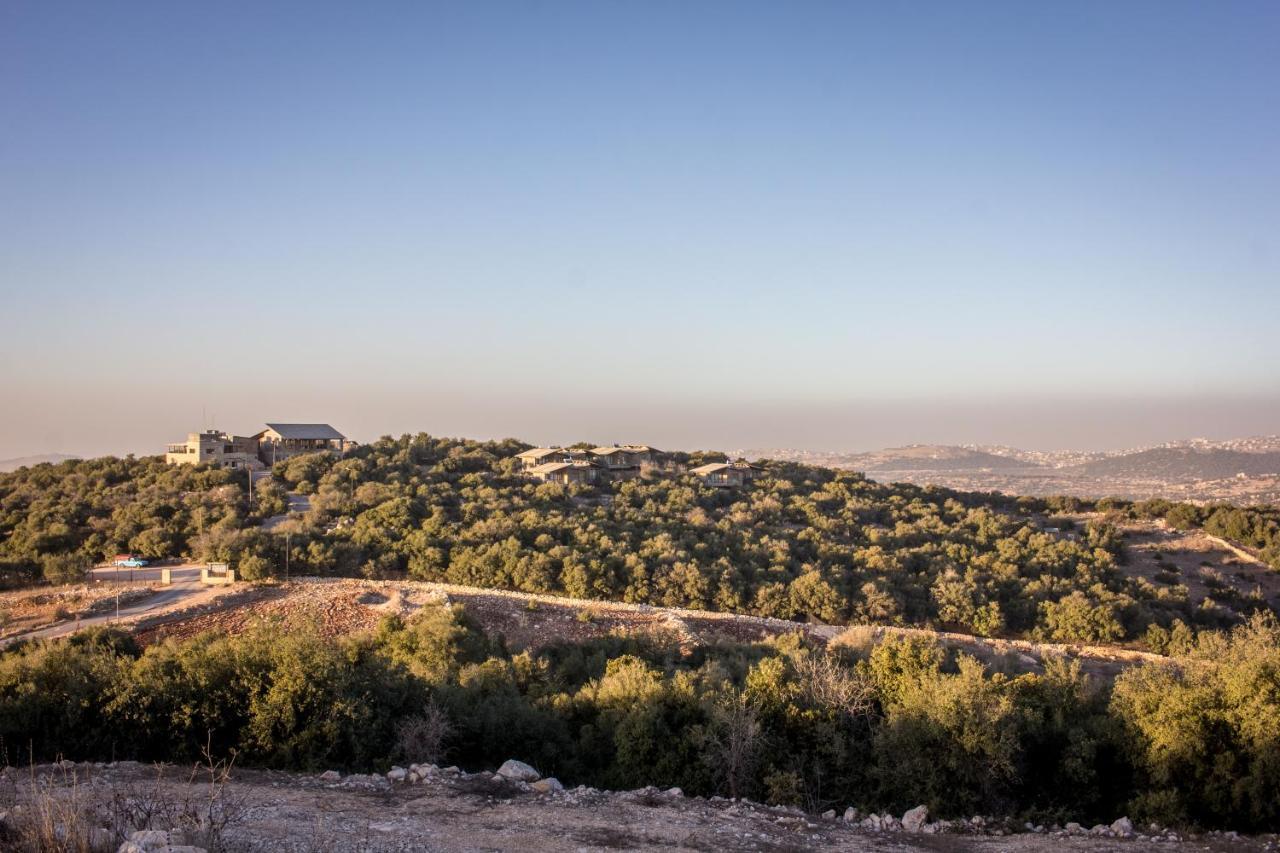 Ajloun Forest Reserve Jarash Exterior photo